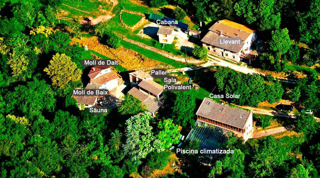 La Cabana Del Moli De La Plana Riudaura Kültér fotó