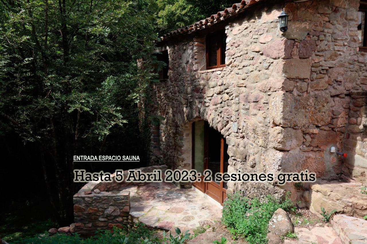 La Cabana Del Moli De La Plana Riudaura Kültér fotó
