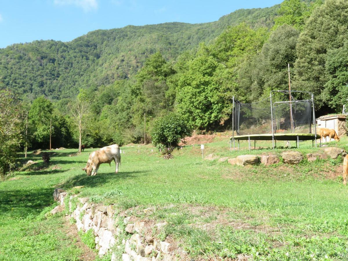La Cabana Del Moli De La Plana Riudaura Kültér fotó